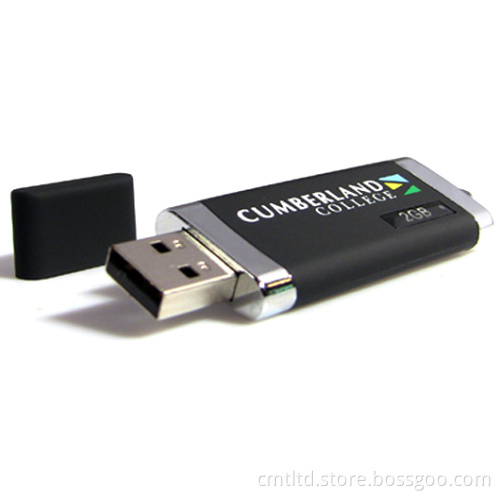 Promotional Customed USB Flash Drive Qt Style